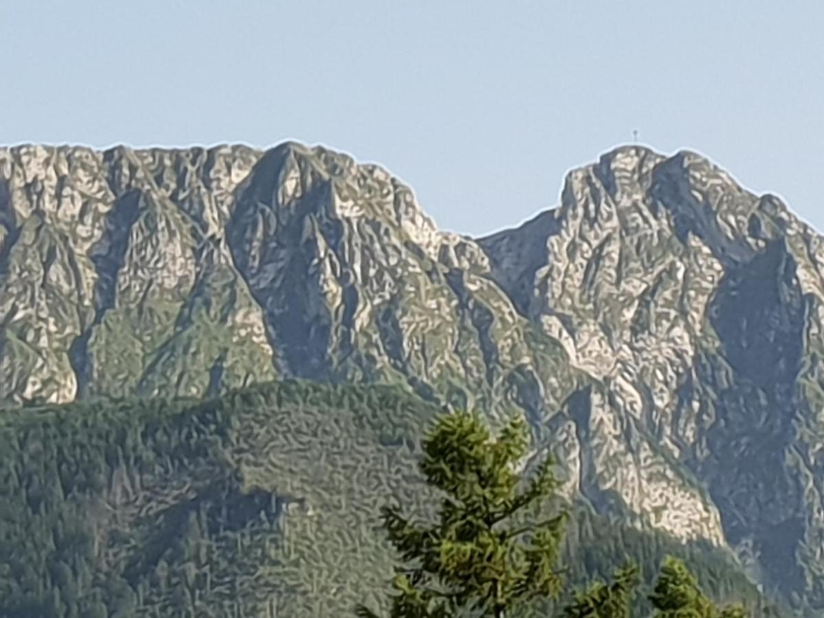 Willa Za Strugiem Zakopane Kültér fotó