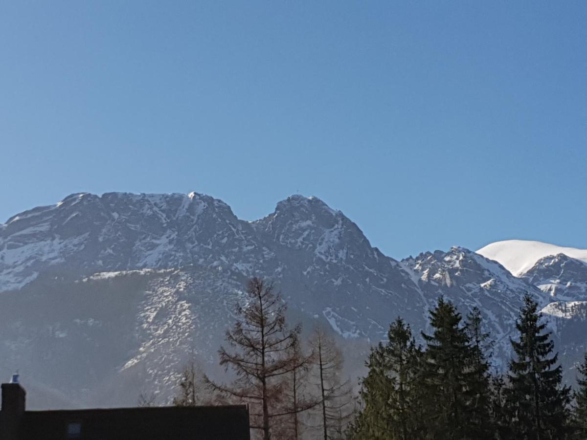 Willa Za Strugiem Zakopane Kültér fotó