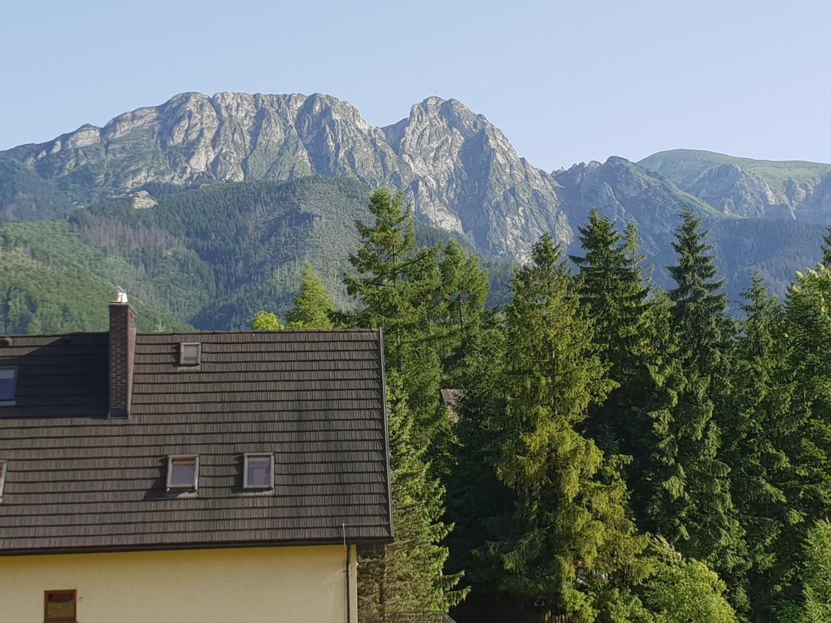 Willa Za Strugiem Zakopane Kültér fotó